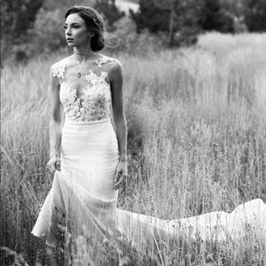 Pronovias Vicentas Wedding Gown